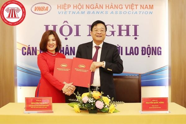 Hiệp hội Ngân hàng Việt Nam