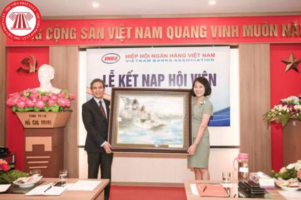 Hiệp hội Ngân hàng Việt Nam