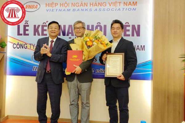 Hiệp hội Ngân hàng Việt Nam