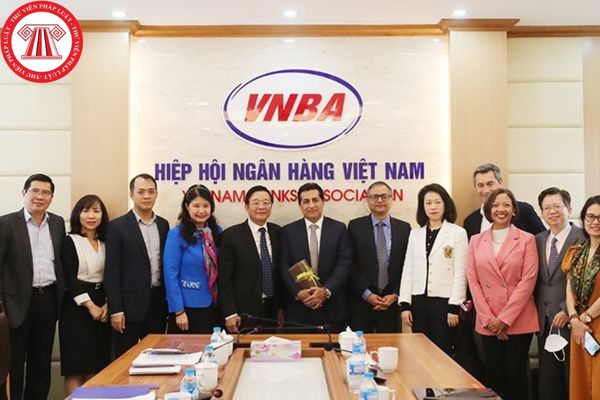 Hiệp hội Ngân hàng Việt Nam