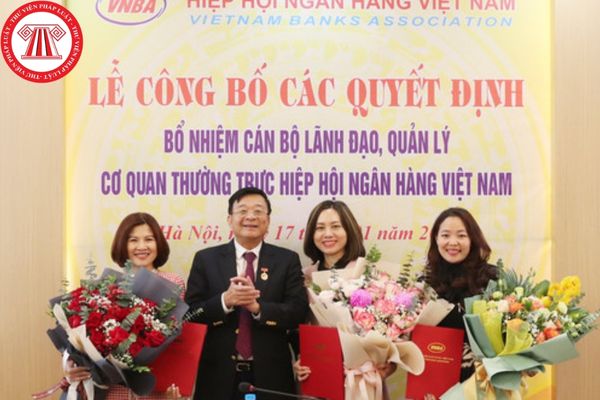 Hiệp hội Ngân hàng Việt Nam