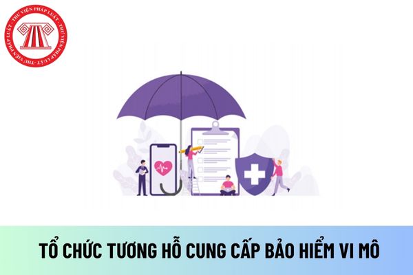 Nội dung hoạt động của tổ chức tương hỗ cung cấp bảo hiểm vi mô thành lập và hoạt động tại Việt Nam