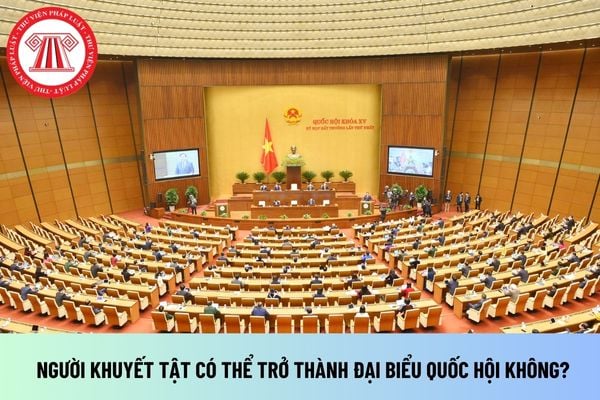 Người khuyết tật có thể trở thành đại biểu Quốc hội không?