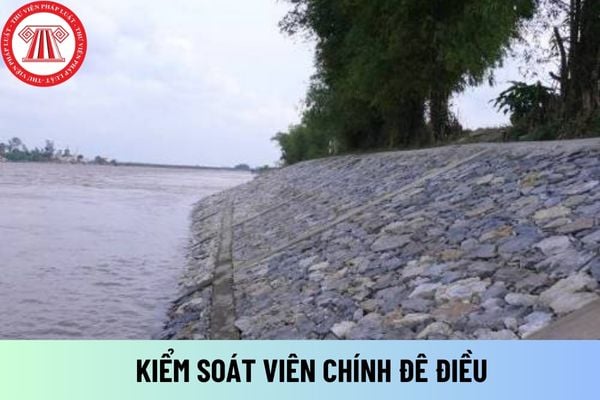 Kiểm soát viên chính đê điều có được hưởng phụ cấp ưu đãi theo nghề trong thời gian nghỉ thai sản không?