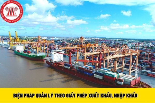 giấy phép xuất khẩu