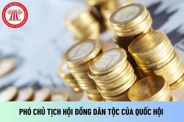 Phó Chủ tịch Hội đồng Dân tộc của Quốc hội