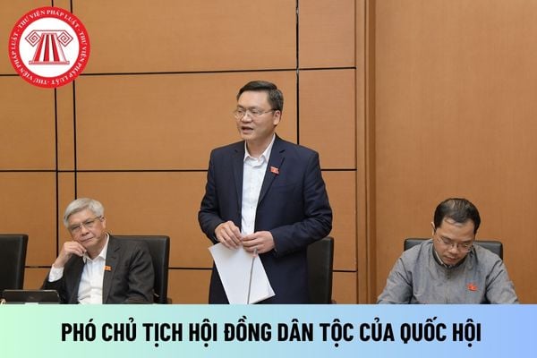 Phó Chủ tịch Hội đồng Dân tộc của Quốc hội