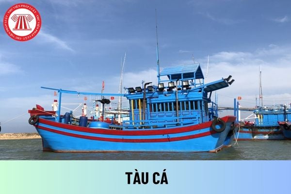 tàu cá