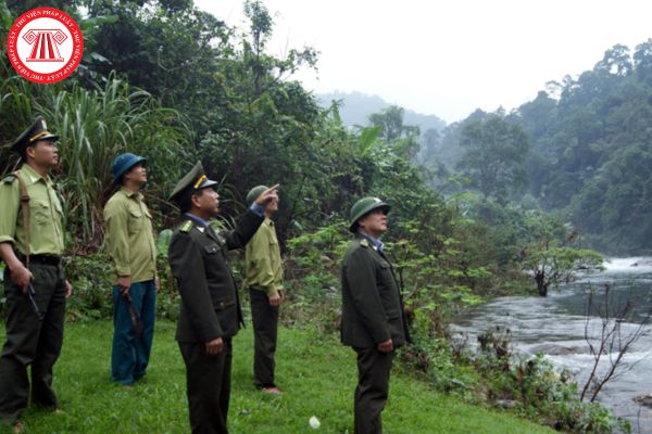 Lực lượng chuyên trách bảo vệ rừng