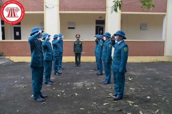 Trung đội trưởng Dân quân tự vệ