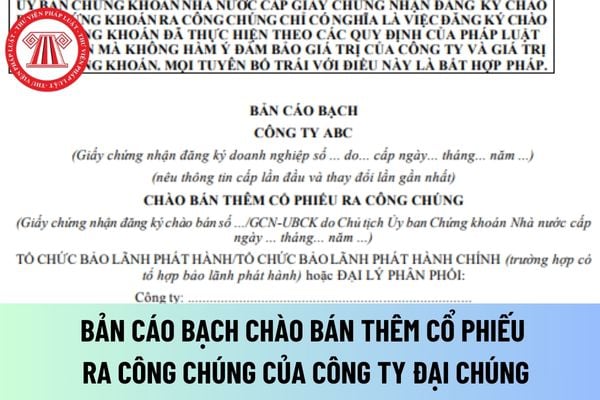 Bản cáo bạch chào bán thêm cổ phiếu ra công chúng của công ty đại chúng