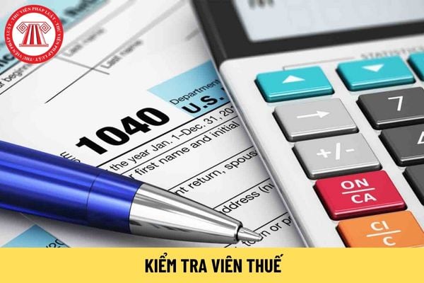 Mức lương mới nhất của kiểm tra viên thuế làm việc tại Vụ Kê khai và Kế toán thuế là bao nhiêu?