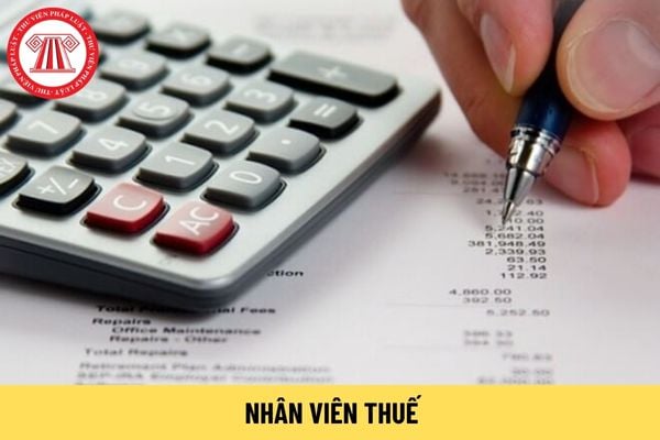 Nhân viên thuế có mã số ngạch công chức bao nhiêu? Hướng dẫn cách xếp lương ngạch nhân viên thuế?