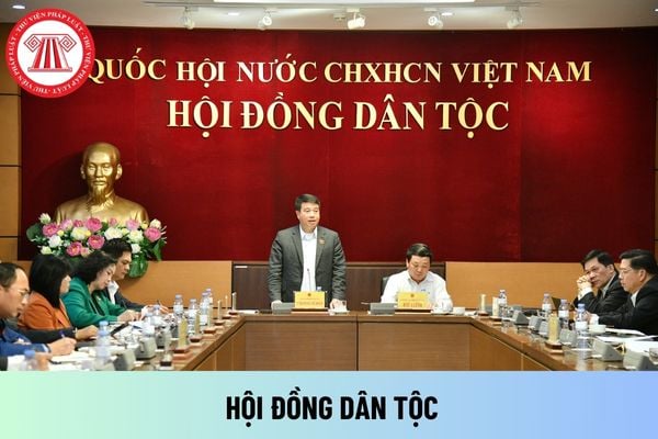 Hội đồng dân tộc