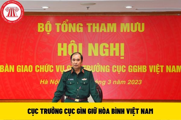 Cục trưởng Cục Gìn giữ hòa bình Việt Nam