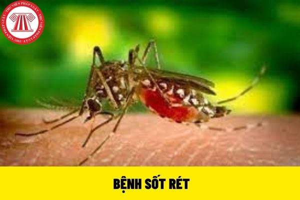 bệnh sốt rét