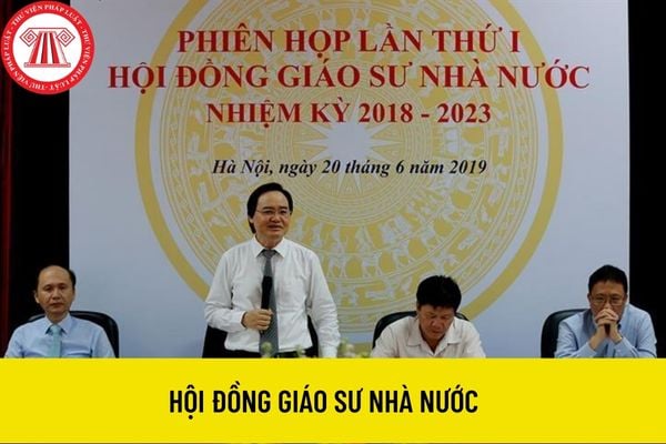 hội đồng giáo sư nhà nước