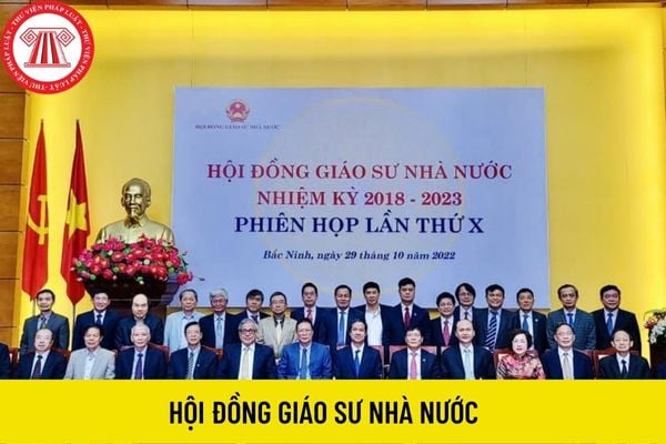 hội đồng giáo sư nhà nước