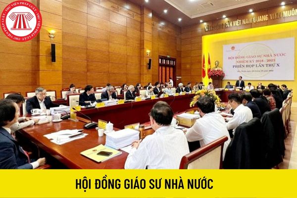 hội đồng giáo sư nhà nước