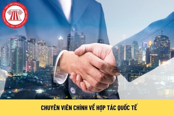 Chuyên viên chính về hợp tác quốc tế là ai