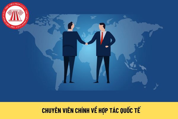 Chuyên viên chính về hợp tác quốc tế