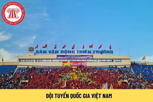 đội tuyển quốc gia việt nam