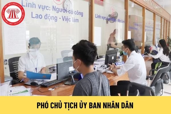 Phó Chủ tịch Ủy ban nhân dân xã là cán bộ hay công chức