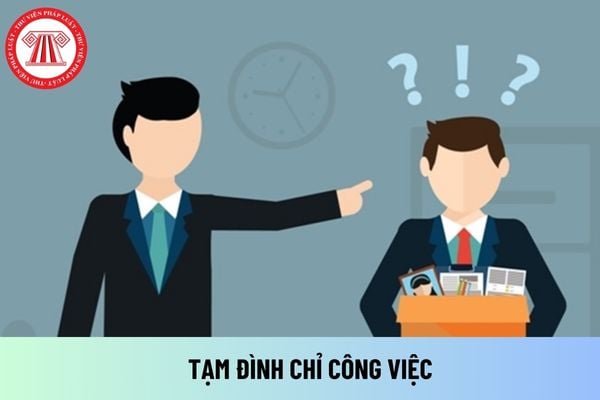 tạm đình chỉ công việc là gì