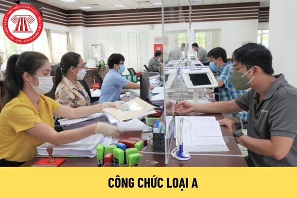 Công chức loại A