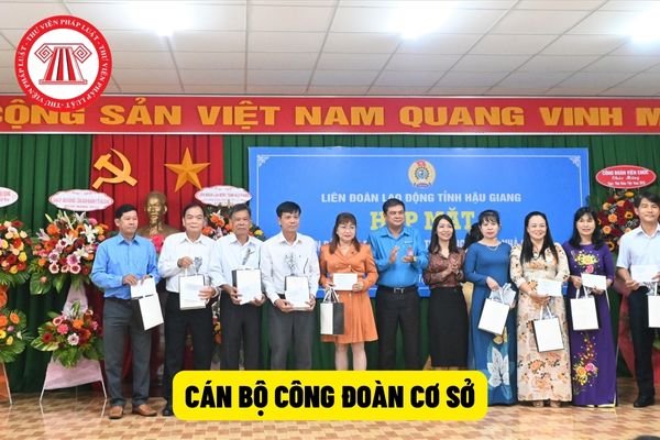 cán bộ công đoàn cơ sở