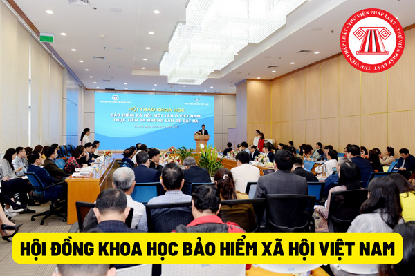 Hội đồng Khoa học Bảo hiểm xã hội Việt Nam