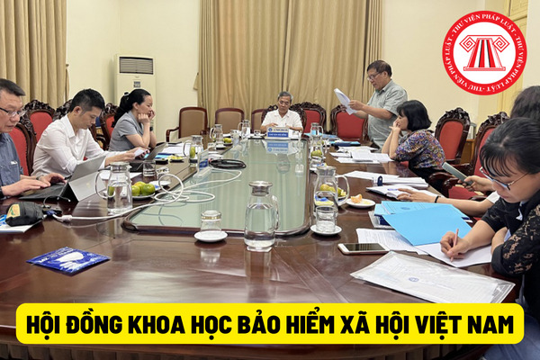 Hội đồng Khoa học Bảo hiểm xã hội Việt Nam