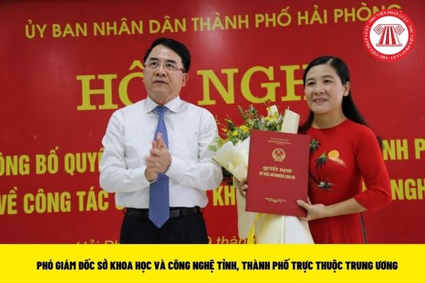 Phó Giám đốc Sở Khoa học và Công nghệ