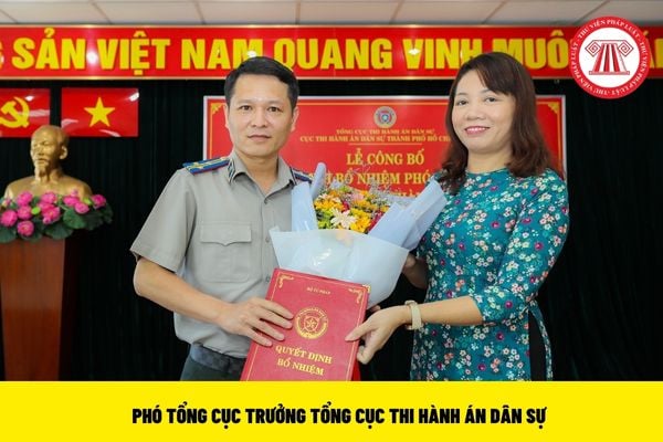 Phó Tổng cục trưởng Tổng cục Thi hành án dân sự