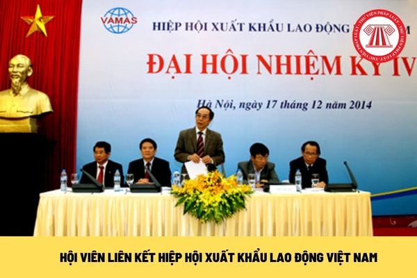 Hiệp hội Xuất khẩu lao động Việt Nam