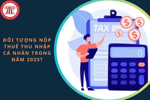 Đối tượng nộp thuế thu nhập cá nhân trong năm 2025?