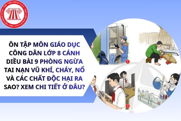 Pháp luật