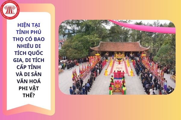 Pháp luật