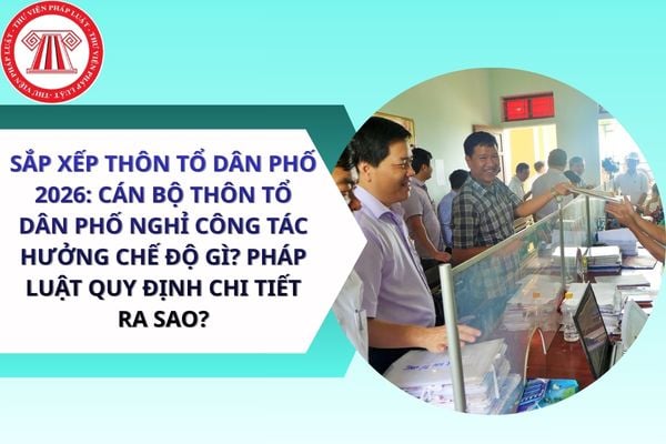 Pháp luật