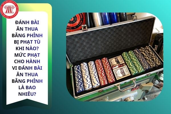 Pháp luật