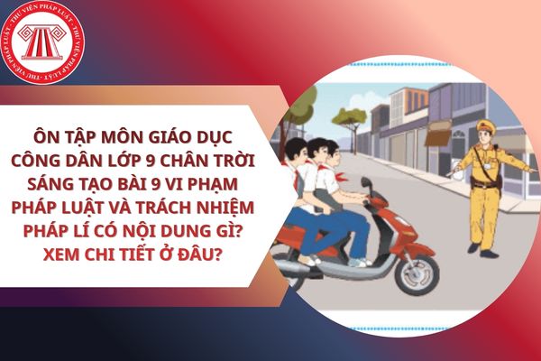 Pháp luật
