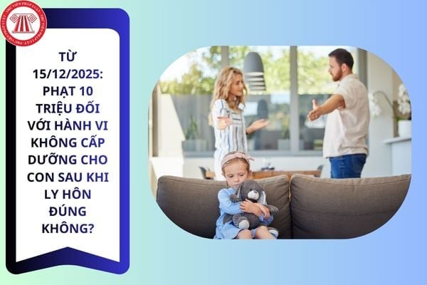 Pháp luật