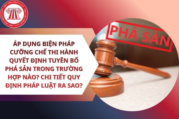 Pháp luật