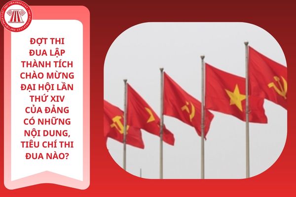 Pháp luật