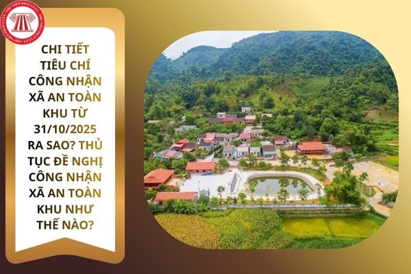 Pháp luật