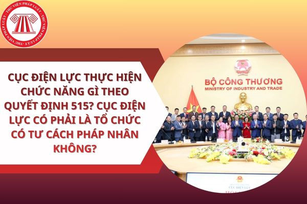 Pháp luật