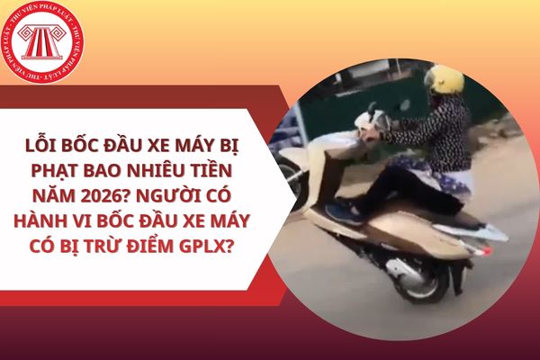 Pháp luật