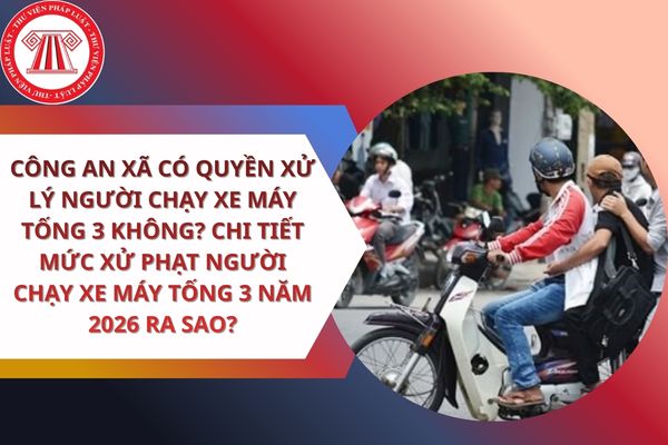 Pháp luật