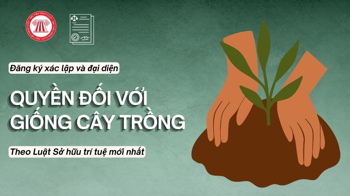 Pháp luật