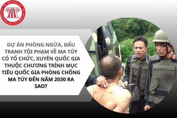 Pháp luật